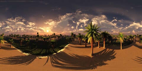 Palm grove in the sand desert, HDRI, environment map , Round panorama, spherical panorama, equidistant projection, panorama 360 © ustas