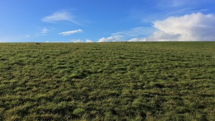 Fototapeta na wymiar An expanse of green grass stretching uphill with a flat horizon, with bright clear blue sky and white clouds