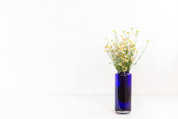 Bouquet of daisies in a blue vase on white background.  Still-life with camomile flowers. With copy space. Place for text. 