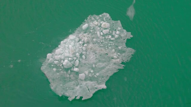 Melting glacier ice floats by from arctic fiord