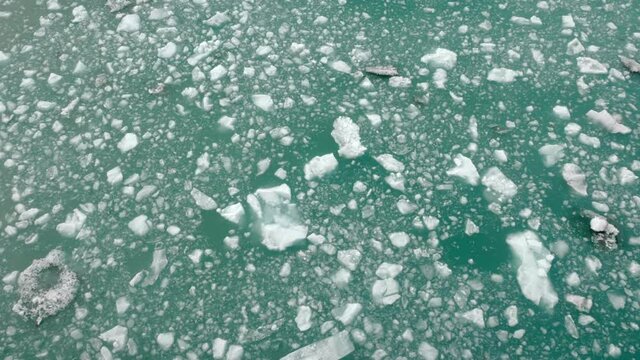 Melting glacier ice floats by from arctic fiord