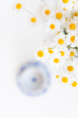 Bouquet of daisies and vintage tea cup on white background.  With copy space.
Cup of aromatic tea with a camomile flowers. Place for text. 