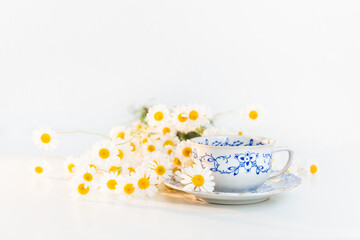 Bouquet of daisies and vintage tea cup on white background.  With copy space.
Cup of aromatic tea with a camomile flowers. Place for text. 