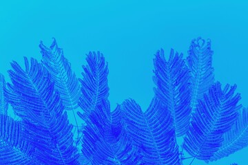 Deep blue palm leaves on vivid blue background. Copy space