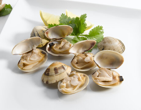 Almejas crudas sobre plato con lim&oacute;n y perejil. Raw clams on plate with lemon and parsley.