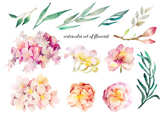 delicate watercolor floral set