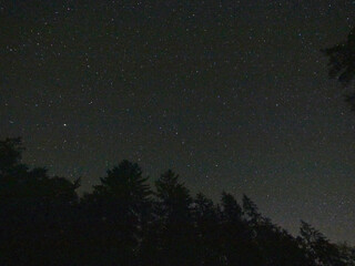 Fototapeta premium Rimbach, Deutschland: Sternenhimmel über einem Waldstück zwischen Furth und Rimbach