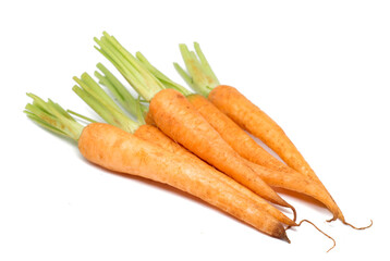 carrot isolated on white background