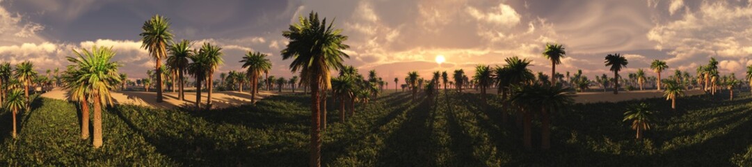 Palm grove in the sand desert at sunset, 3D rendering