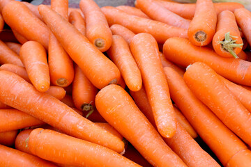 carrot isolated on white background