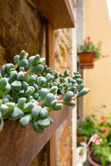 STREETS OF A SMALL ITALIAN TOWN, tuscany