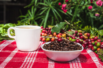 Coffee beans, coffee berries and a cup of coffee on the table.