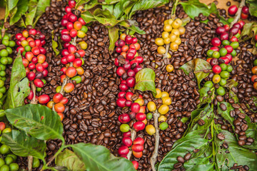 Texture of coffee beans and coffee berries.