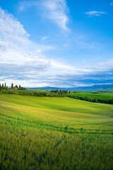 Obraz premium Gorgeous greens in the landscape and with light painted.