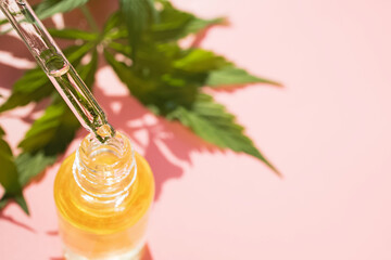 Cannabis CBD oil and hemp products on pink background.