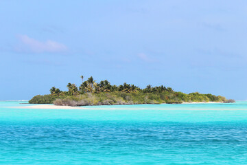 Small uninhabited Maldives island with green palm trees in azure waters of Indian ocean. Tropical beach vacation in luxury exotic resort