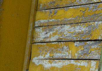 old wooden door