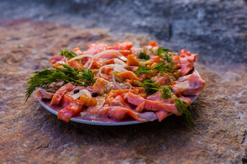 Pieces of red fish in marinade.