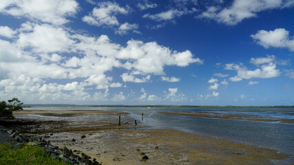 Man casting net at low tide, blue sky with clouds, Victoria Point, Moreton Bay, Queensland, Australia