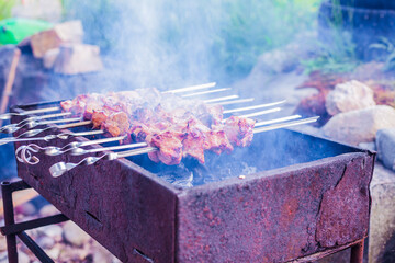 Shish kebab on the grill with coals.