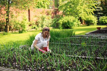 A young pretty girl in a shawl and rubber gloves is planting onions in her backyard garden on a Sunny summer day.