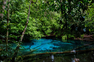 Blue or emerald pool in National park Sa Morakot, Krabi, Thailand.