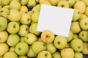 organic green apple
