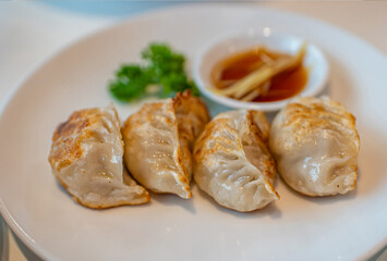 Crispy Pork Dumplings on a White Plate