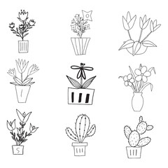 set of hand drawn flowers