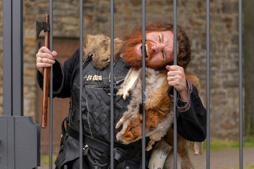 Naklejka premium Der Wikinger