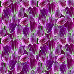 Gouache hand drawn pale tulip seamless pattern for background, fabric, wrapping paper. Stock template design