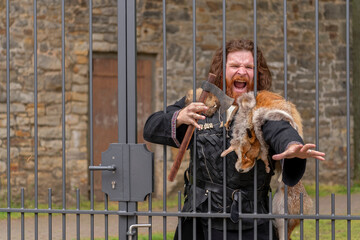 Der Wikinger