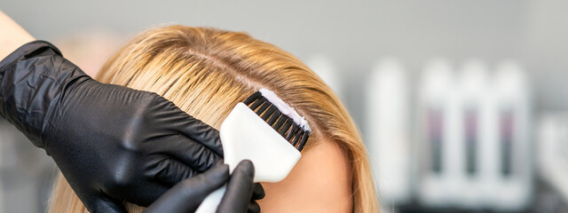 Hands of hairdresser dyeing hair of woman with brush at beauty salon.