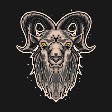 ram goat vector illustration design on dark background