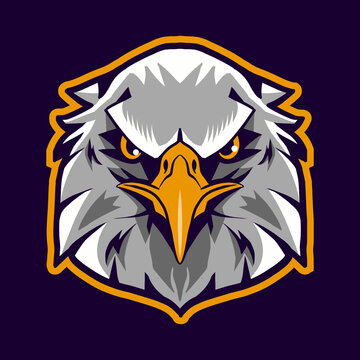 eagle head vector illustration isolated