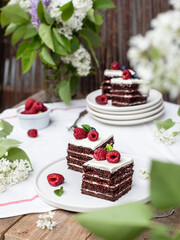 Vegan gluten free chocolate cake with raspberry