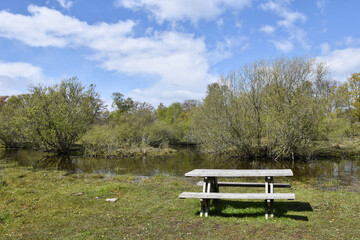 Obraz premium Picnic place by a small pond