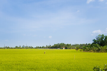 Can Tho views Mekong Delta Vietnam