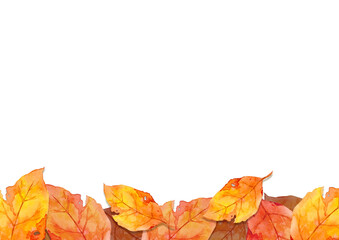frame of red leaves in autumn concept  isolated on white background. Flat lay, top view, copy space.
