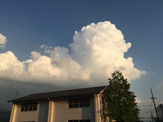 入道雲