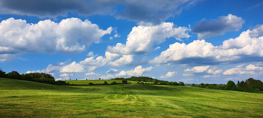Summer Grass Field Landscape with white clouds in the background.