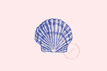 Realistic hand-drawn scallop shell. Ancient saltwater clam, conch engraved line. Fauna of the sea and ocean in retro style. Design element for menu, invitation, poster, postcard.