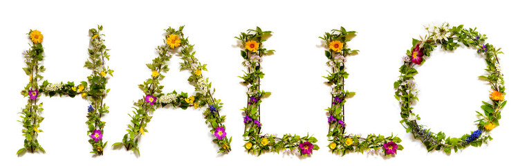Flower, Branches And Blossom Letter Building German Word Hallo Means Hello. White Isolated Background