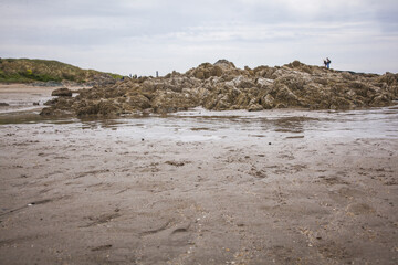 beach in the morning