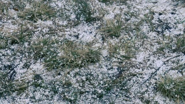 Meteorology. Tapioca Snow (graupel; Powder Snow). Large Round Dense Snowflakes Intermediate In Density Between Snow And Hail
