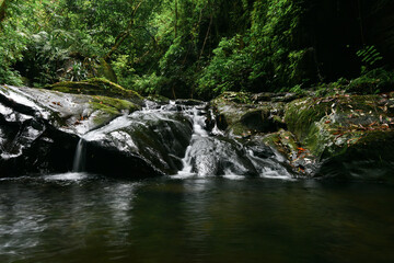Naklejka na ściany i meble Photos of natural green and Waterfall river stream view. 
