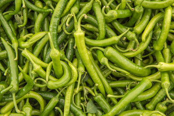 Green hot pepper.