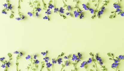 Pattern made of little wild blue flowers on light green background.