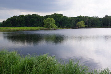 Richmond Park, London (UK)