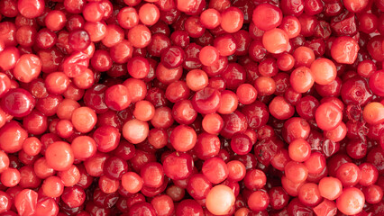 Cranberry,  Red sour fruit  There are many health benefits.